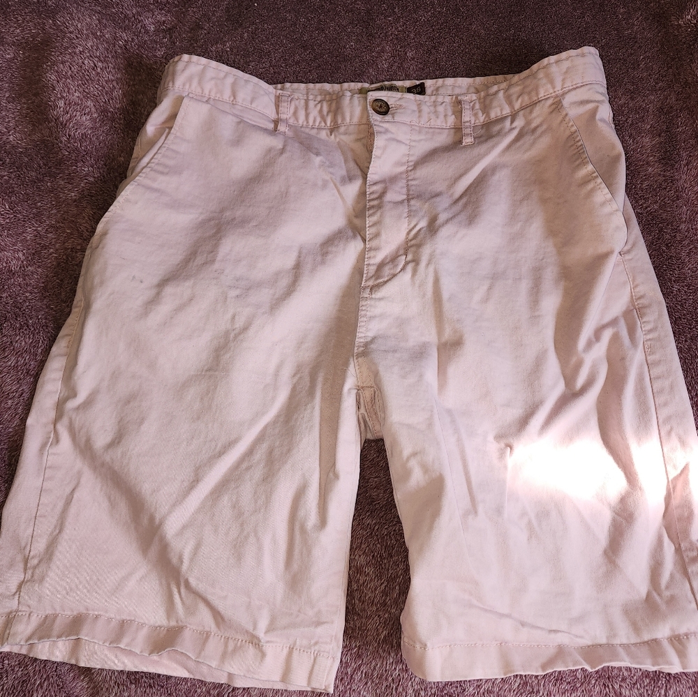 Hudson & Barron - Pink Shorts - Size 36